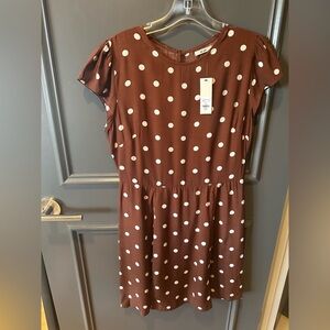NWT Francesca's Collections Mi Ami Brown and White Polka Dot Dress